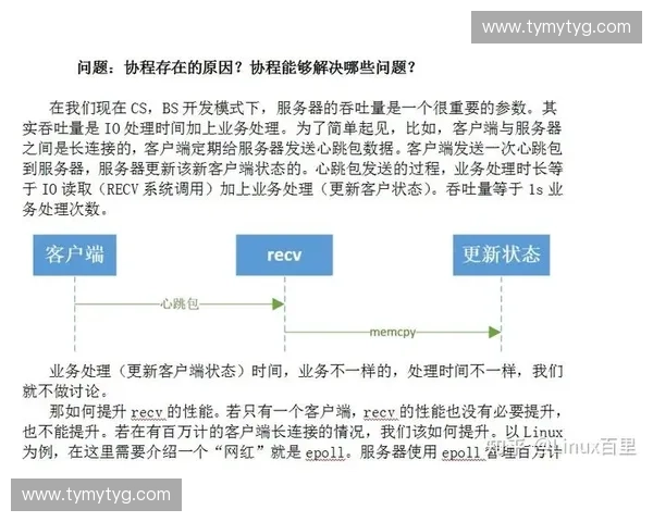以训练模板为核心的高效学习路径设计与实践指南探索方法与应用场景分析