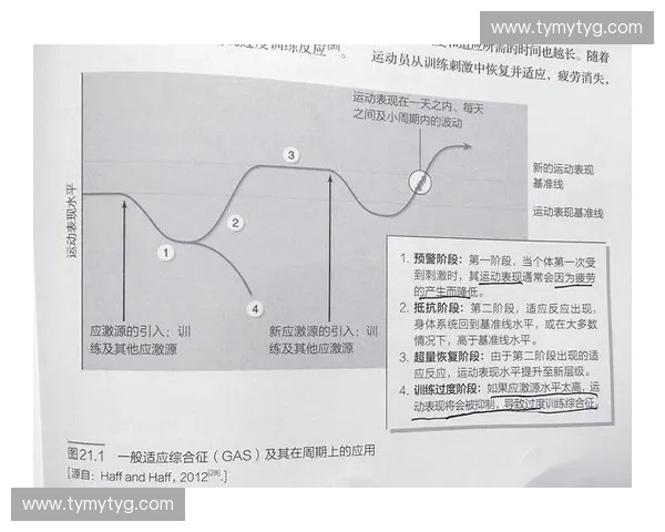 肌肉协调在运动表现中的关键作用与训练策略分析